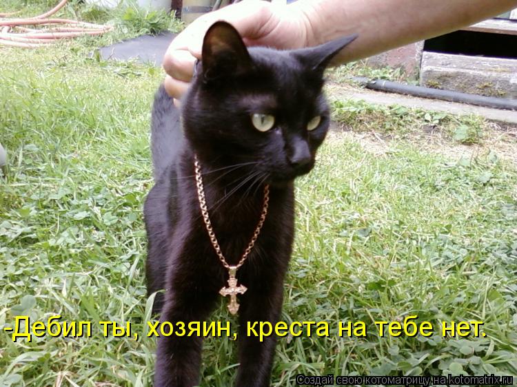 Котоматрица: -Дебил ты, хозяин, креста на тебе нет.