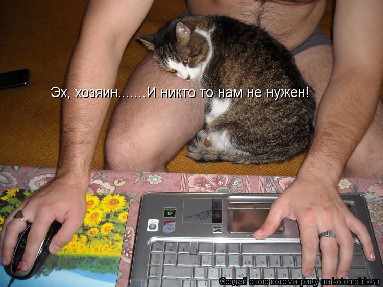 Котоматрица: Эх, хозяин.......И никто то нам не нужен!