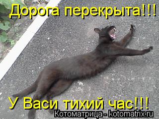 Котоматрица: Дорога перекрыта!!! У Васи тихий час!!!
