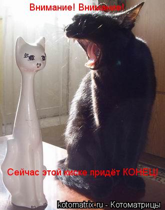 Котоматрица: Внимание! Внимание! Сейчас этой киске придёт КОНЕЦ!