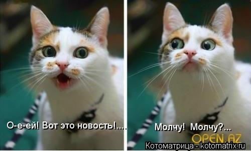 Котоматрица: О-е-ей! Вот это новость!.... Молчу!  Молчу?...
