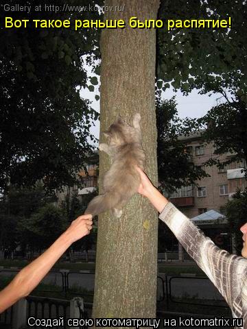 Котоматрица: Вот такое раньше было распятие Вот такое раньше было распятие!
