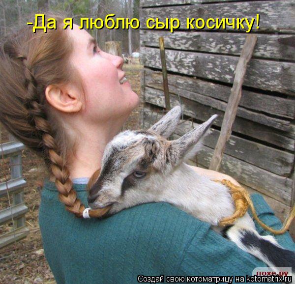 Котоматрица: -Да я люблю сыр косичку!