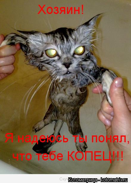 Котоматрица: Хозяин! Я надеюсь ты понял, что тебе КОПЕЦ!!!