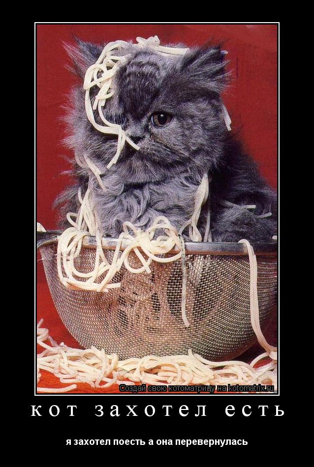 Котоматрица: кот захотел есть я захотел поесть а она перевернулась
