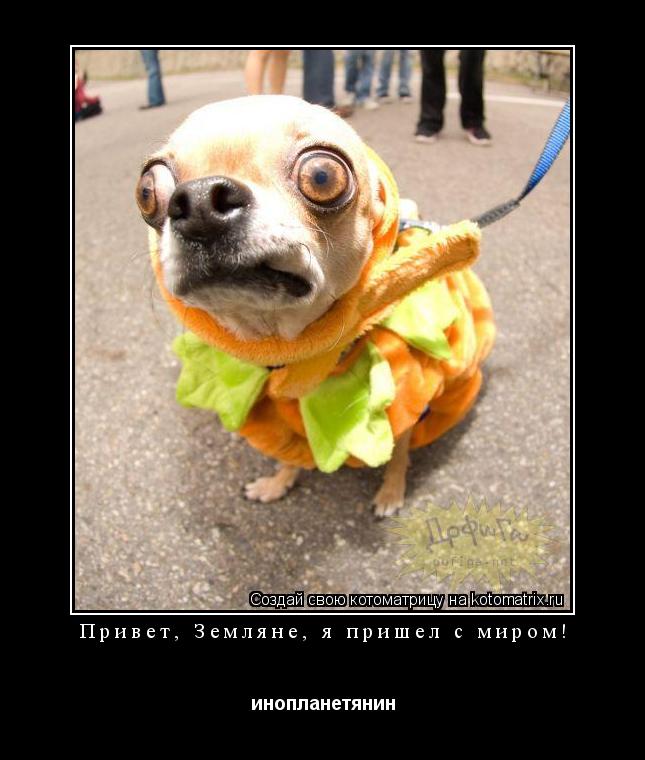 Котоматрица: Привет, Земляне, я пришел с миром! инопланетянин