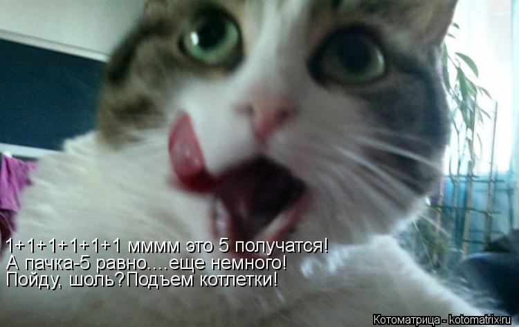 Котоматрица: 1+1+1+1+1+1 мммм это 5 получатся! А пачка-5 равно....еще немного! Пойду, шоль? Подъем котлетки!