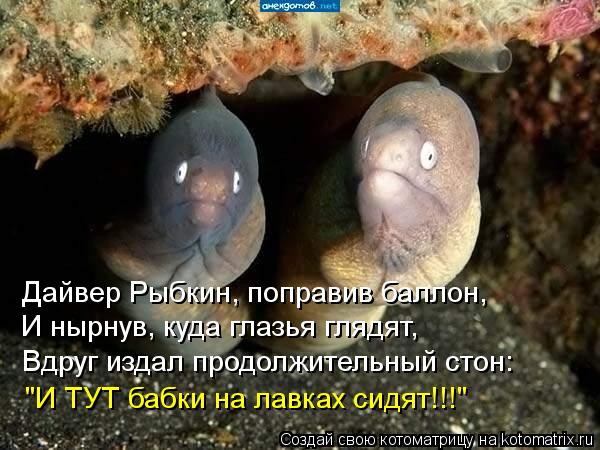 Дайвер Рыбкин, поправив баллон, И нырнув, куда глазья глядят, Вдруг издал продолжительный стон: "И ТУ... Котоматрица: Дайвер Рыбкин, поправив баллон, И нырнув, куда глазья глядят, Вдруг издал продолжительный стон: "И ТУТ бабки на лавках сидят!!!"