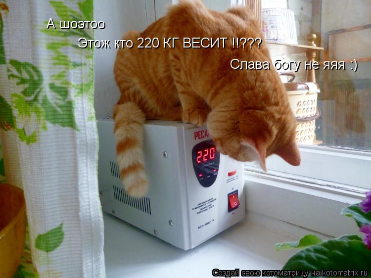 Котоматрица: А шоэтоо Этож кто 220 КГ ВЕСИТ !!??? Слава богу не яяя :)