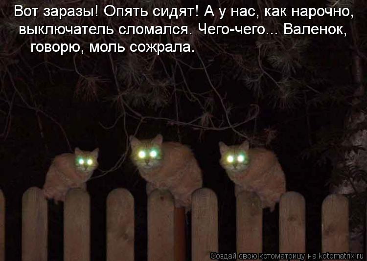 Котоматрица: Вот заразы! Опять сидят! А у нас, как нарочно, выключатель сломался. Чего-чего... Валенок,  говорю, моль сожрала.