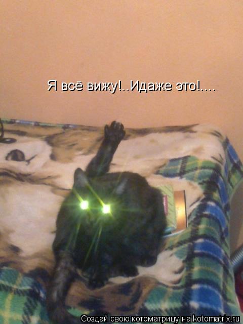 Котоматрица: Я всё вижу!..Идаже это!....