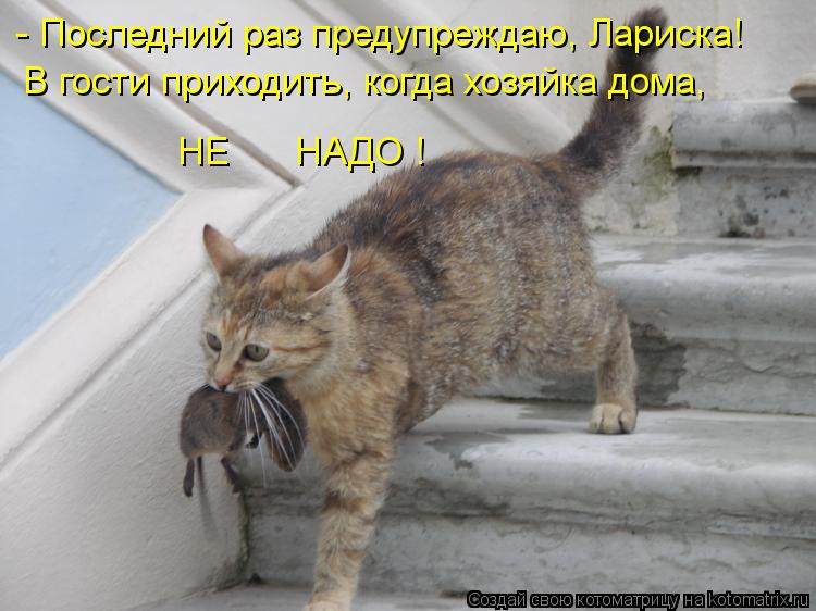 Котоматрица: - Последний раз предупреждаю, Лариска! В гости приходить, когда хозяйка дома, НЕ      НАДО !