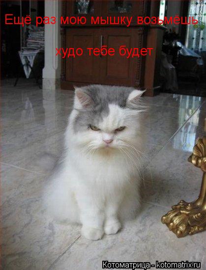 Котоматрица: Ещё раз мою мышку возьмёшь худо тебе будет