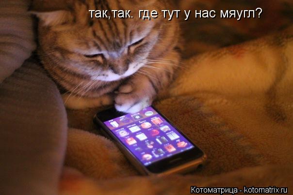 Котоматрица: так,так. где тут у нас мяугл?