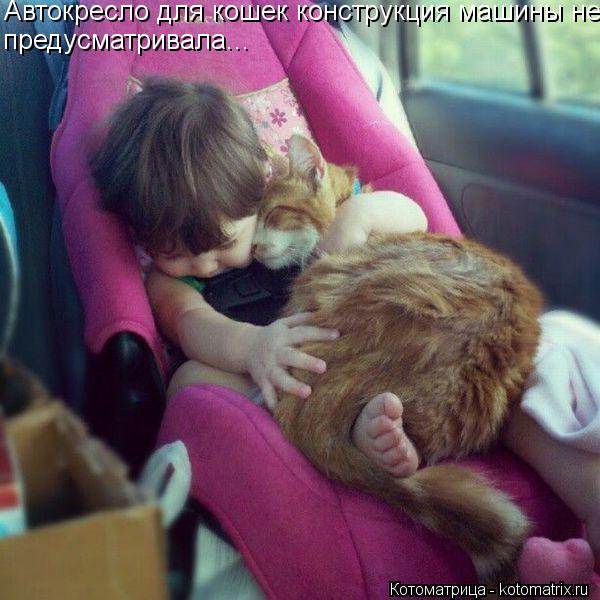 Котоматрица: Автокресло для кошек конструкция машины не предусматривала...