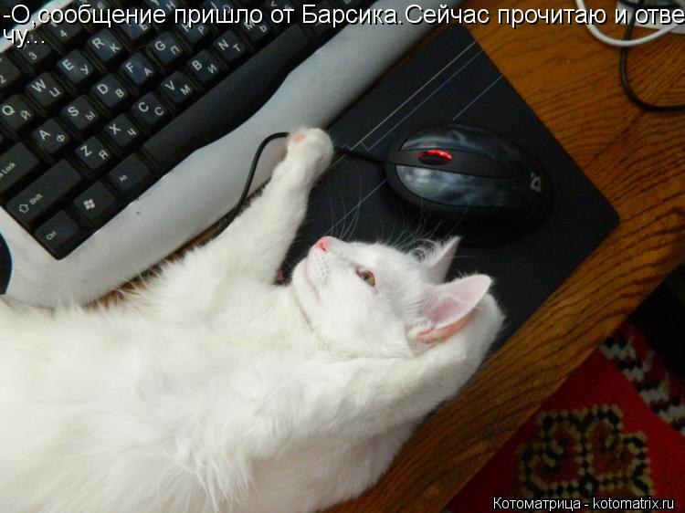 Котоматрица: -О,сообщение пришло от Барсика.Сейчас прочитаю и отве- чу...