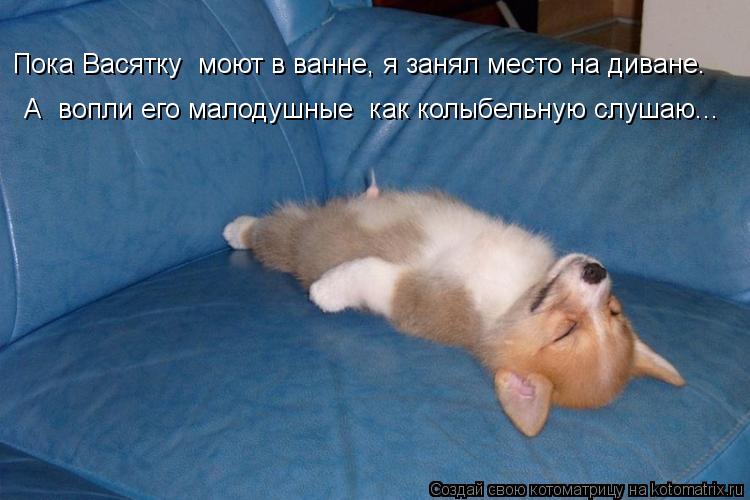 Пока Васятку моют в ванне, я занял место на диване. А вопли его малодушные как колыбельную слушаю.... Котоматрица: Пока Васятку моют в ванне, я занял место на диване. А вопли его малодушные как колыбельную слушаю...
