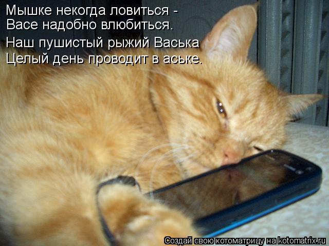 Мышке некогда ловиться - Васе надобно влюбиться Наш пушистый рыжий Васька Целый день проводит в аське... Котоматрица: Мышке некогда ловиться - Васе надобно влюбиться Наш пушистый рыжий Васька Целый день проводит в аське. .