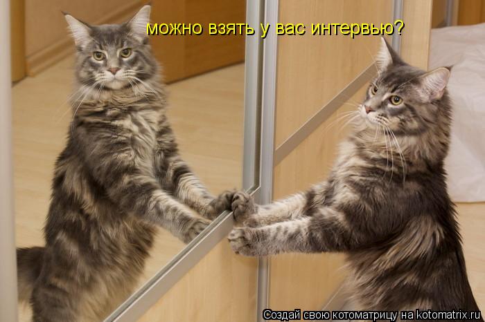Котоматрица: можно взять у вас интервью?