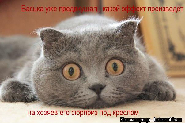 Котоматрица: Васька уже предвкушал , какой эффект произведёт на хозяев его Васька уже предвкушал , какой эффект произведёт на хозяев его на хозяев его сю