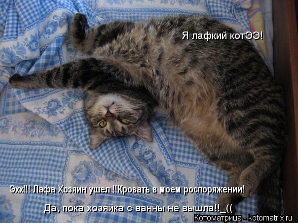 Котоматрица: Эхх!!! Лафа Хозяин ушел !!Кровать в моем роспоряжении! Да, пока хозяйка с ванны не вышла!!_((  Я лафкий котЭЭ!