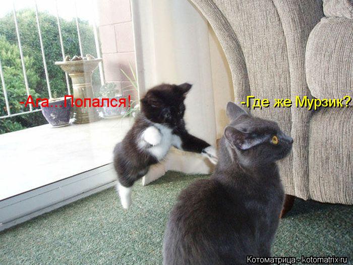 Котоматрица: -Где же Мурзик? -Ага...Попался!