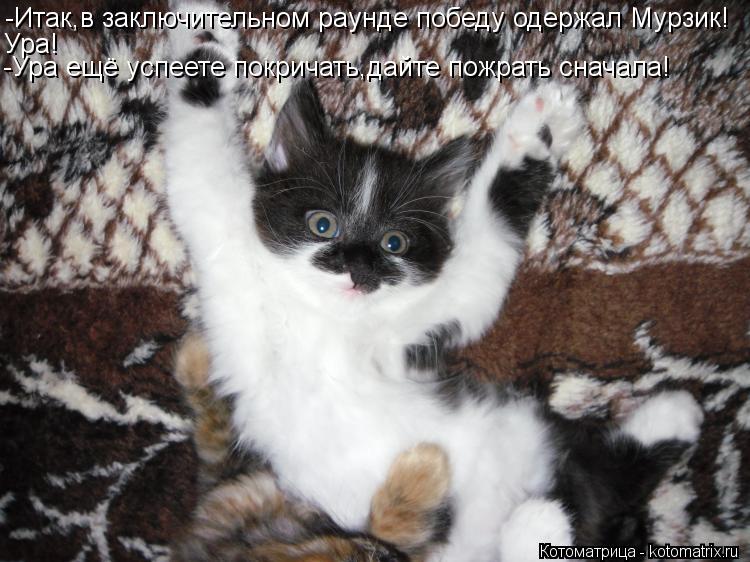 Котоматрица: -Итак,в заключительном раунде победу одержал Мурзик! Ура! -Ура ещё успеете покричать,дайте пожрать сначала!