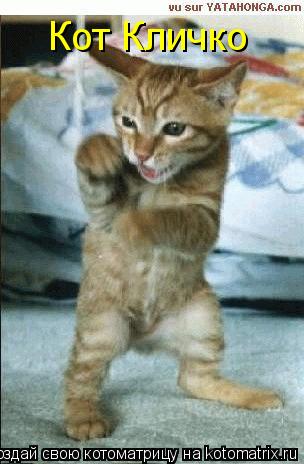 Котоматрица: Кот Кличко