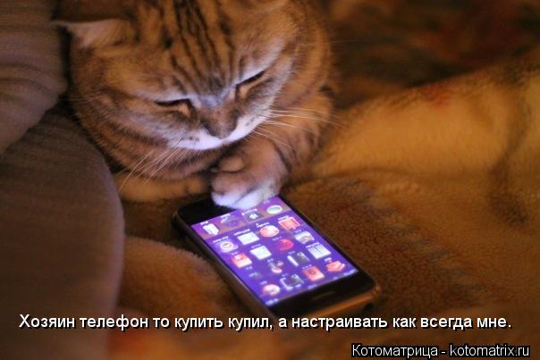 Котоматрица: Хозяин телефон то купить купил, а настраивать как всегда мне.