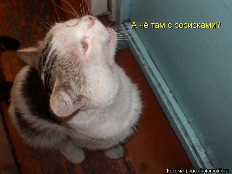 Котоматрица: А чё там с сосисками?