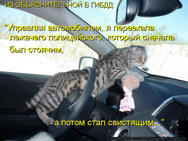 Котоматрица: ИЗ ОБЪЯСНИТЕЛЬНОЙ В ГИБДД: "Управляя автомобилем, я переехала лежачего полицейского, который сначала был стоячим, а потом стал свистящим..."