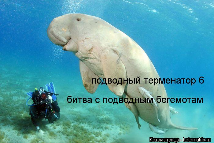 Котоматрица: подводный терменатор 6 битва с подводным бегемотам