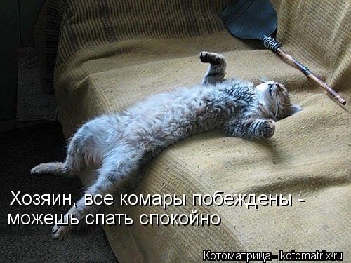 Котоматрица: Хозяин, все комары побеждены -  можешь спать спокойно