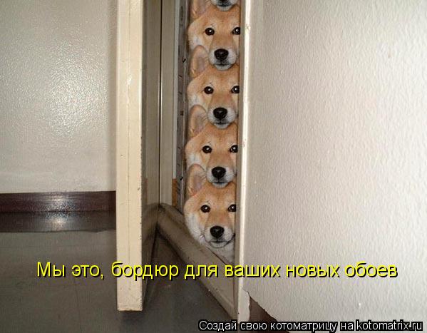 Котоматрица: Мы это, бордюр для ваших новых обоев