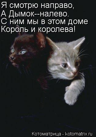 Котоматрица: Я смотрю направо, А Дымок--налево. С ним мы в этом доме Король и королева!