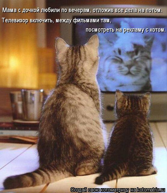 Мама с дочкой любили по вечерам, отложив все дела на потом. Телевизор включить, между фильмами там, п... Котоматрица: Мама с дочкой любили по вечерам, отложив все дела на потом. Телевизор включить, между фильмами там, посмотреть на рекламу с котом.