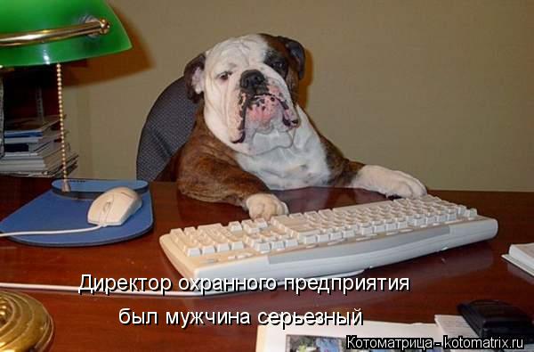 Котоматрица: был мужчина серьезный Директор охранного предприятия