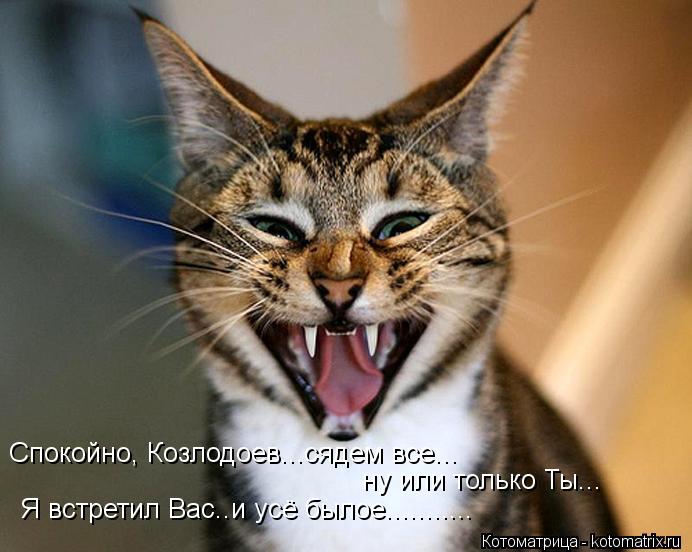Котоматрица: ну или только Ты... Я встретил Вас..и усё былое........... Спокойно, Козлодоев...сядем все...