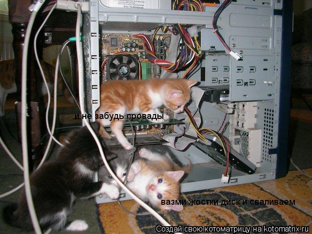 Котоматрица: вазми жостки диск и сваливаем вазми жостки диск и сваливаем и не забудь провады