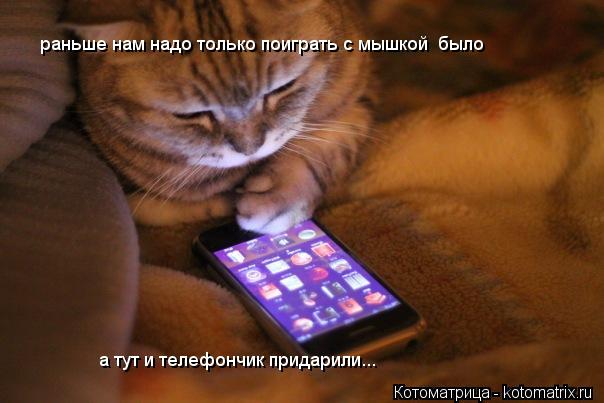 Котоматрица: а тут и телефончик придарили... раньше нам надо только поиграть с мышкой  было