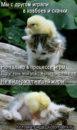 Мы с другом играли в ковбоев и скачки, Но только в процессе игры, Не выдержал нашей жары! Вдруг конь ... Котоматрица: Мы с другом играли в ковбоев и скачки, Но только в процессе игры, Не выдержал нашей жары! Вдруг конь мой упал, и скакать отказался,