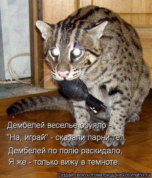 Я же - только вижу в темноте. Дембелей по полю раскидало, "На, играй" - сказали парни те... Дембелей ... Котоматрица: Я же - только вижу в темноте. Дембелей по полю раскидало, "На, играй" - сказали парни те... Дембелей веселье обуяло -