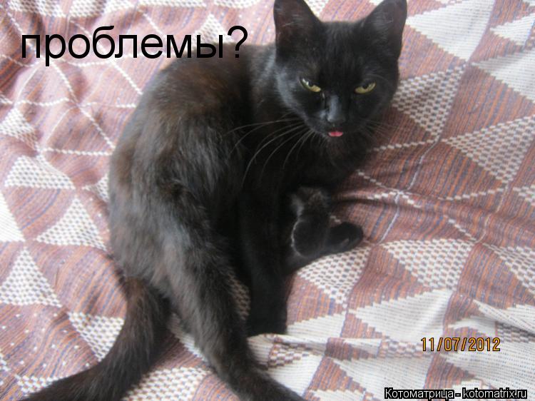 Котоматрица: проблемы?