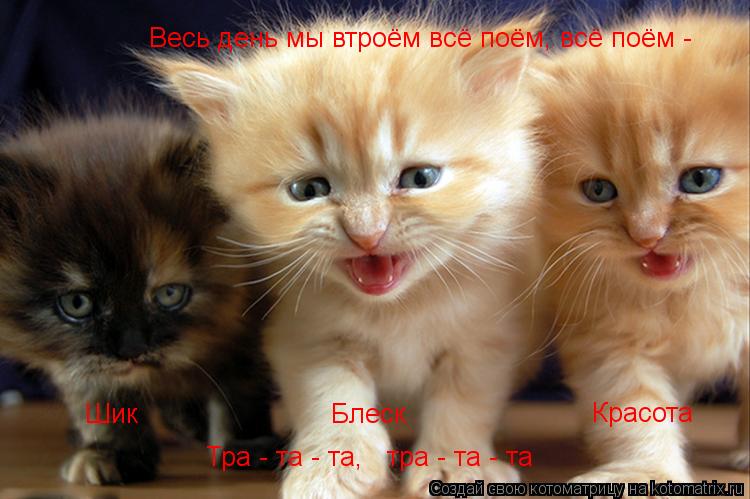 Весь день мы втроём всё поём, всё поём - Шик Блеск Красота Тра - та - та, тра - та - та... Котоматрица: Весь день мы втроём всё поём, всё поём - Шик Блеск Красота Тра - та - та, тра - та - та