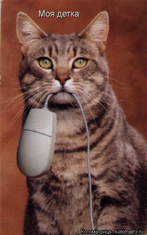 Котоматрица: Моя детка