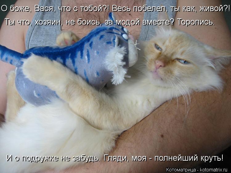 Котоматрица: Ты что, хозяин, не боись, за модой вместе? Торопись. И о подружке не забудь. Гляди, моя - полнейший круть! О боже, Вася, что с тобой?! Весь побелел