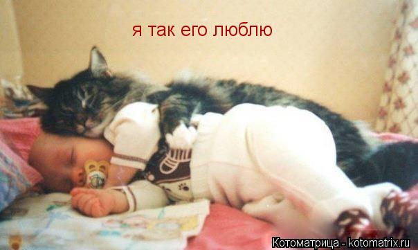 Котоматрица: я так его люблю