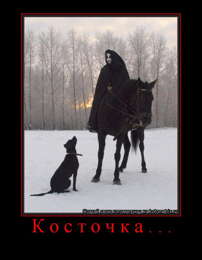 Котоматрица: Косточка... 