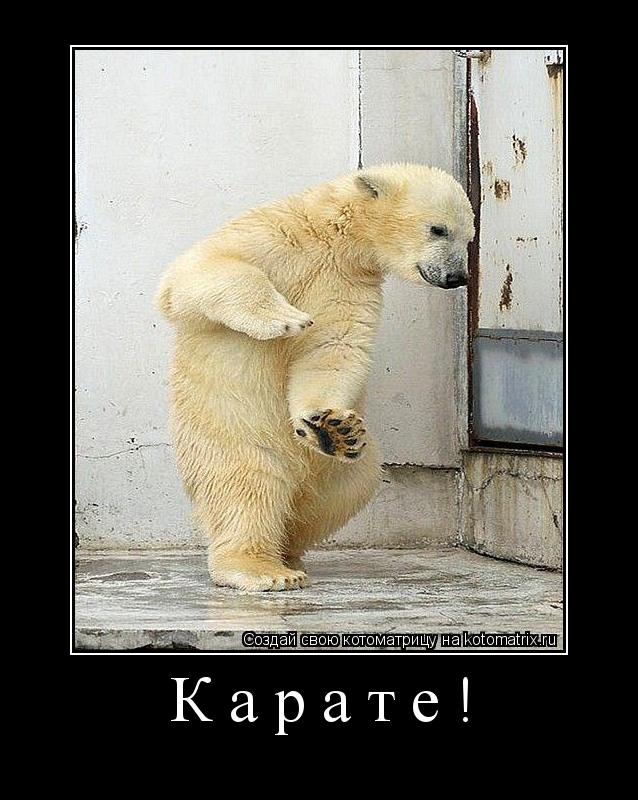 Котоматрица: Карате! 