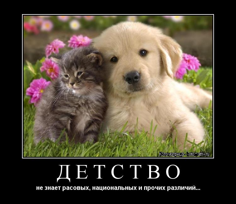 Котоматрица: ДЕТСТВО не знает расовых, национальных и прочих различий...